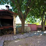 Zile