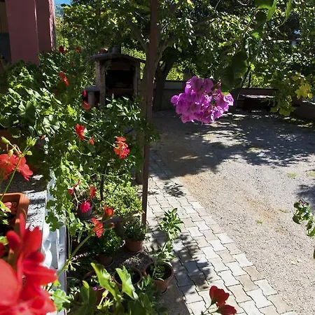 Zile Starigrad Paklenica