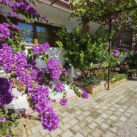 Appartement Zile Starigrad Paklenica