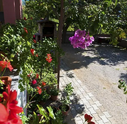 Zile Starigrad Paklenica