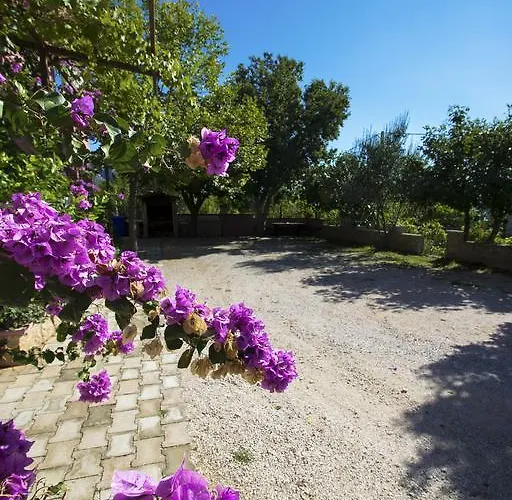 Zile Διαμέρισμα Starigrad Paklenica