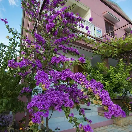 Zile Apartment *