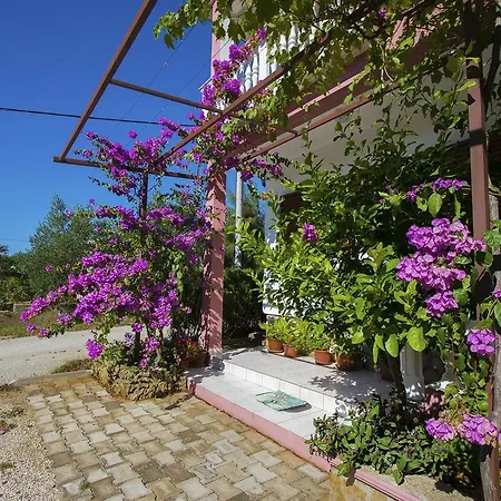 Zile Apartment *